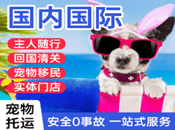 伊春林都机场快递国际宠物托运 【国